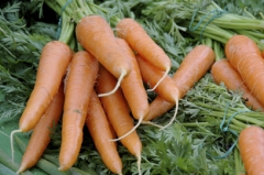betacarotene carote.jpg